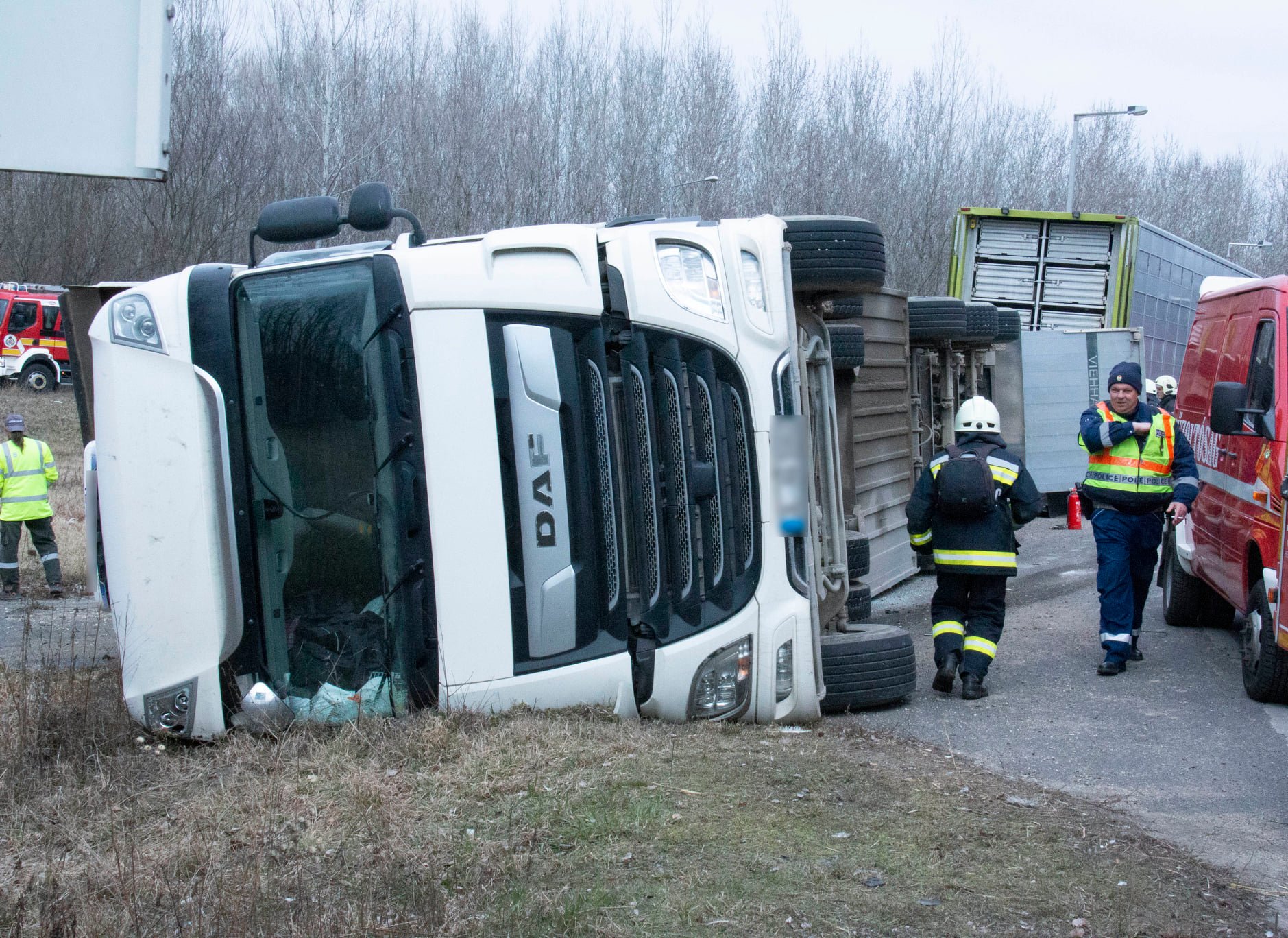 Sertéseket szállító nyerges vontató borult fel az Új Csóri úti körforgalomnál